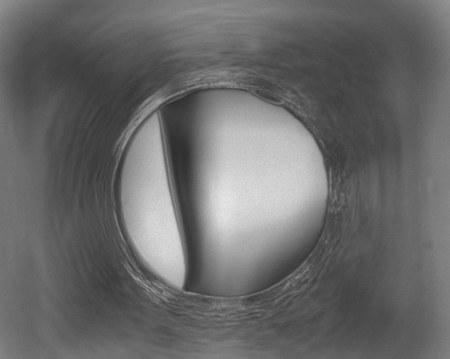 X0000052630099200507011044