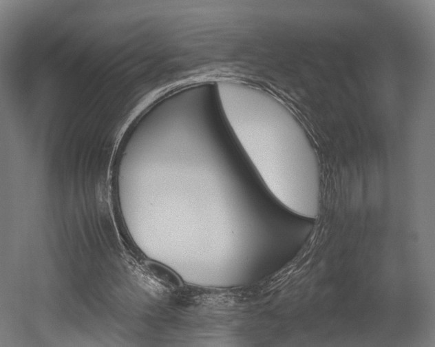 X0000052630100200507011044