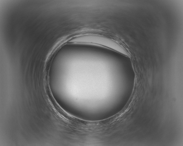 X0000052630101200507011044