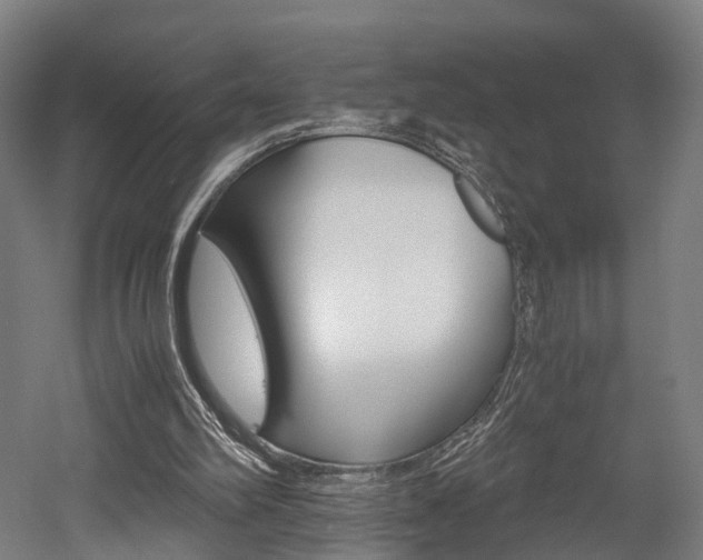 X0000052630102200507011044