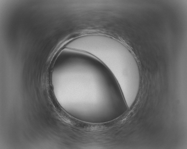 X0000052630103200507011044