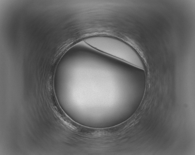 X0000052630105200507011044