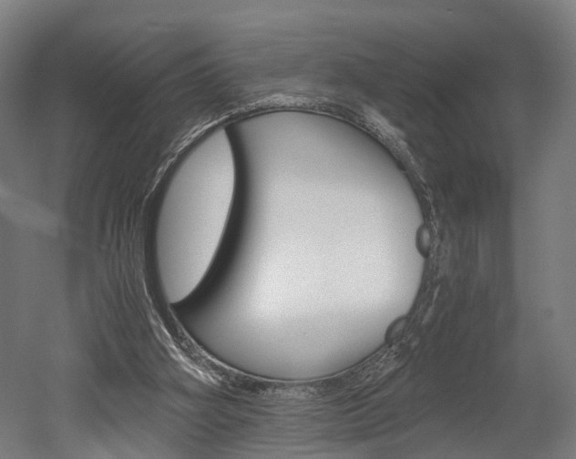 X0000052630106200507011044