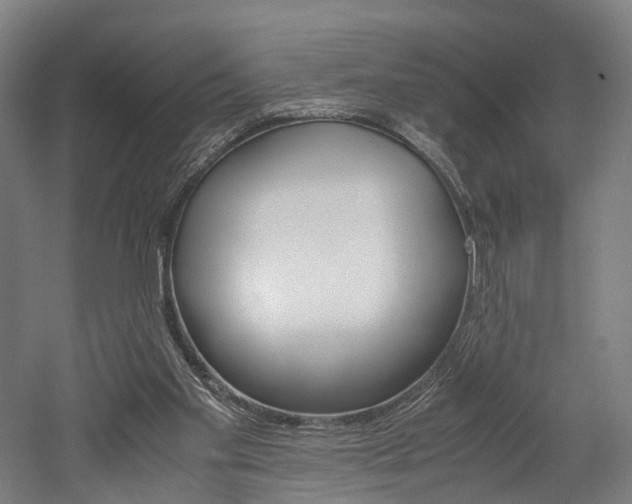 X0000052630109200507011044