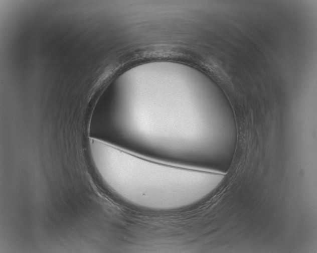 X0000052630111200507011044