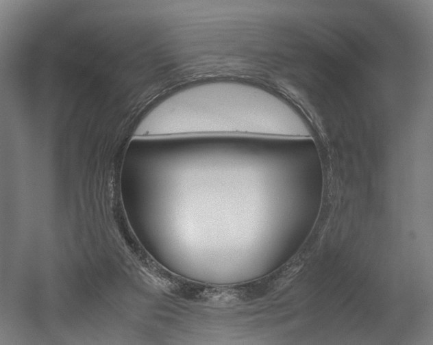 X0000052630113200507011044