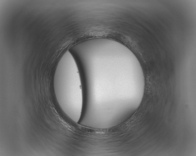 X0000052630114200507011044