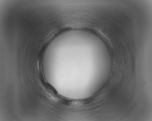 X0000052630117200507011044