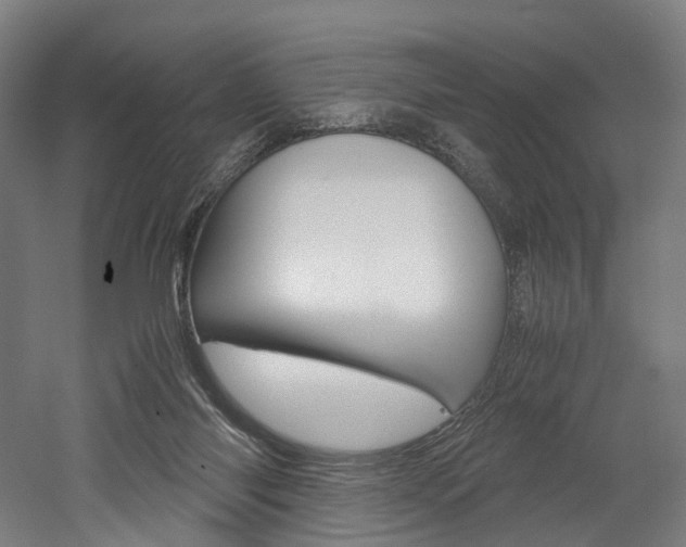 X0000052630118200507011044