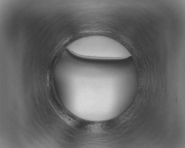 X0000052630120200507011044