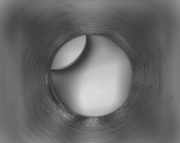 X0000052630124200507011044