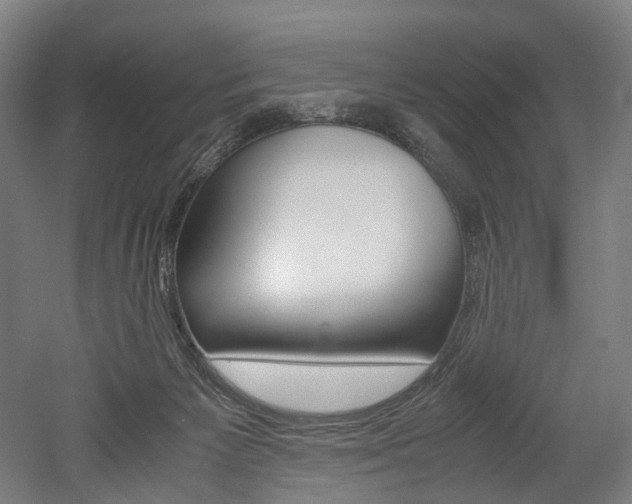 X0000052630125200507011044
