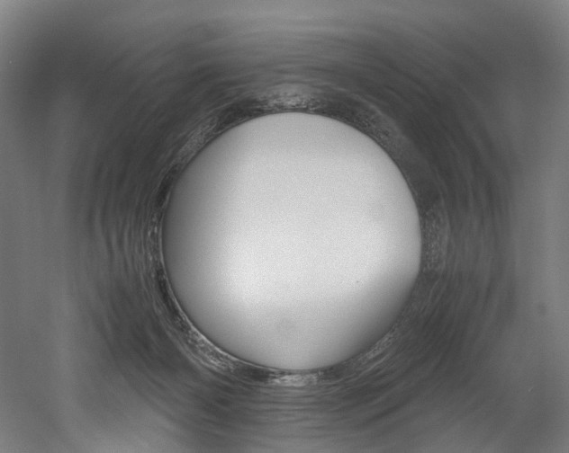 X0000052630126200507011043