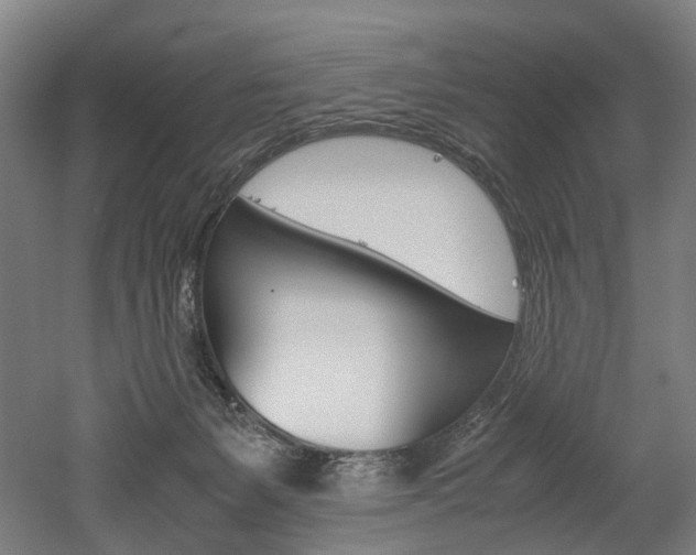 X0000052630127200507011043