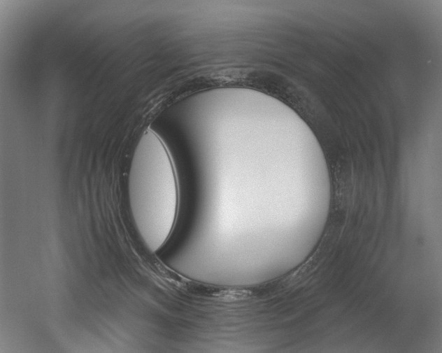 X0000052630128200507011043