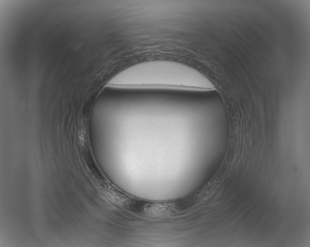 X0000052630129200507011043