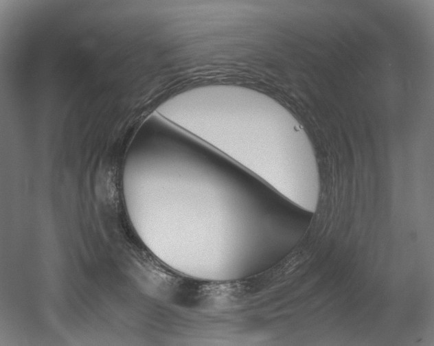X0000052630131200507011043