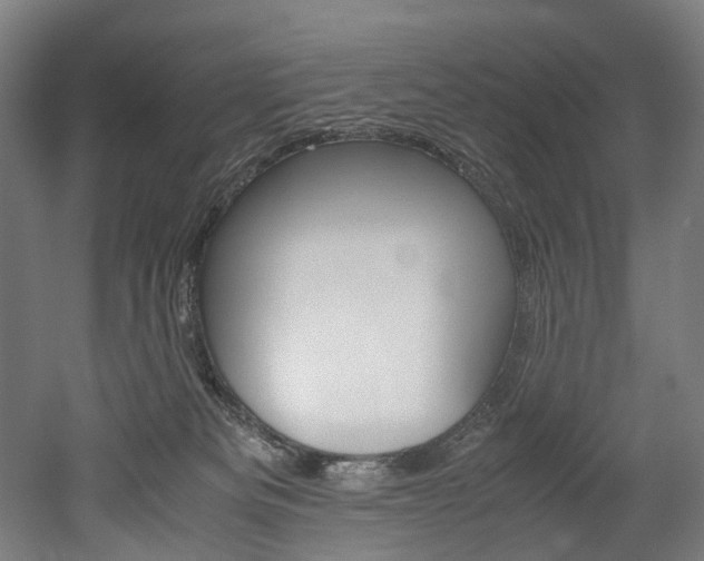 X0000052630133200507011043