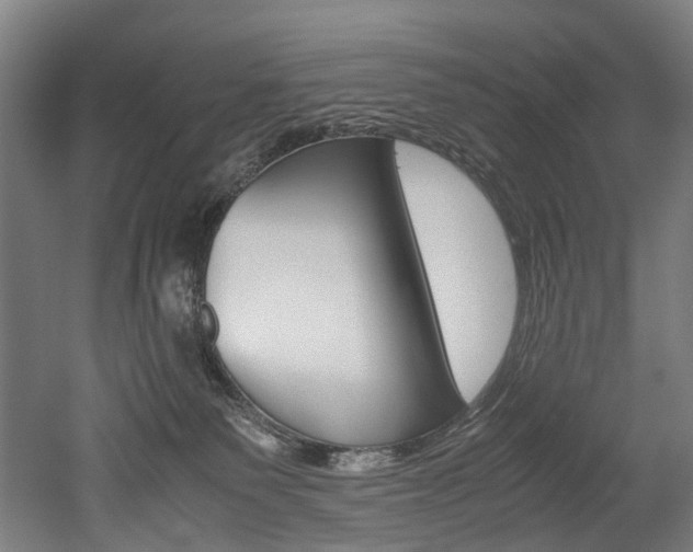 X0000052630135200507011043
