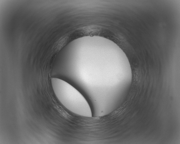 X0000052630138200507011043