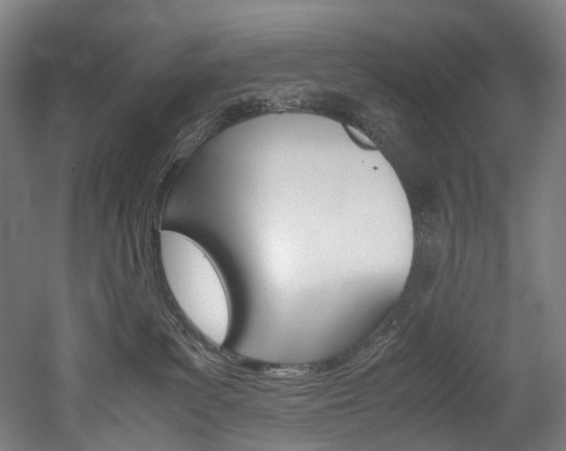 X0000052630139200507011043