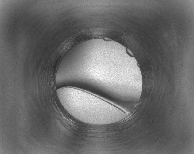 X0000052630140200507011043
