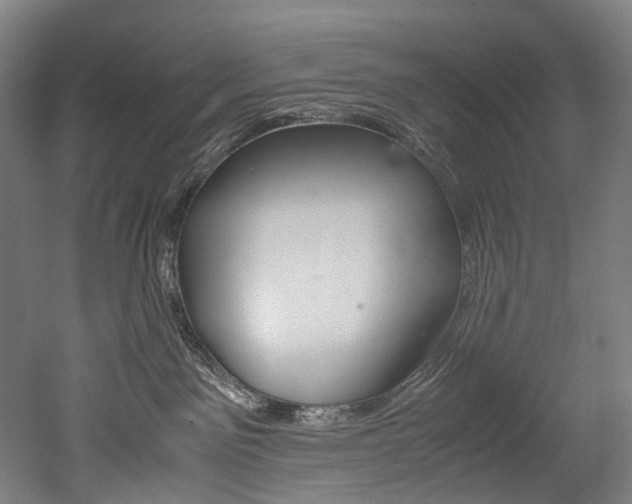 X0000052630141200507011043