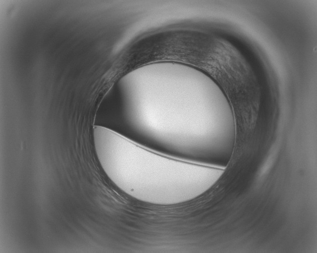 X0000052630143200507011043