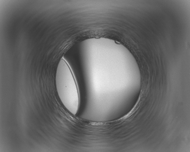 X0000052630144200507011043