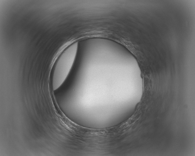 X0000052630147200507011042