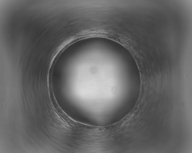 X0000052630148200507011042