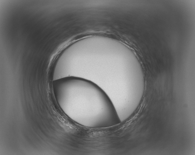 X0000052630149200507011042