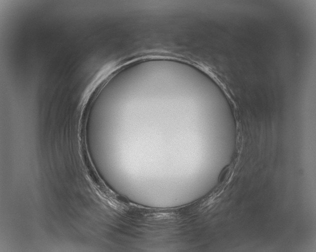 X0000052630151200507011042