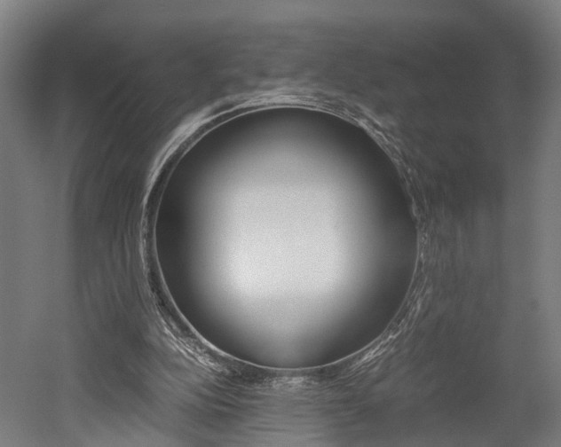 X0000052630152200507011042