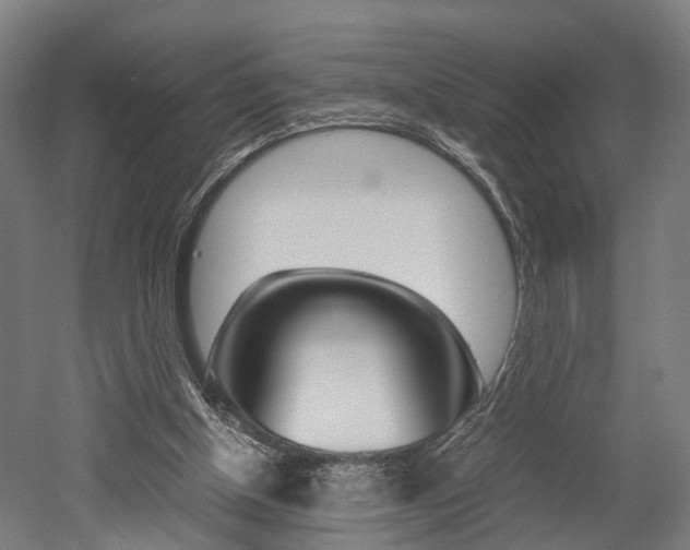 X0000052630154200507011043
