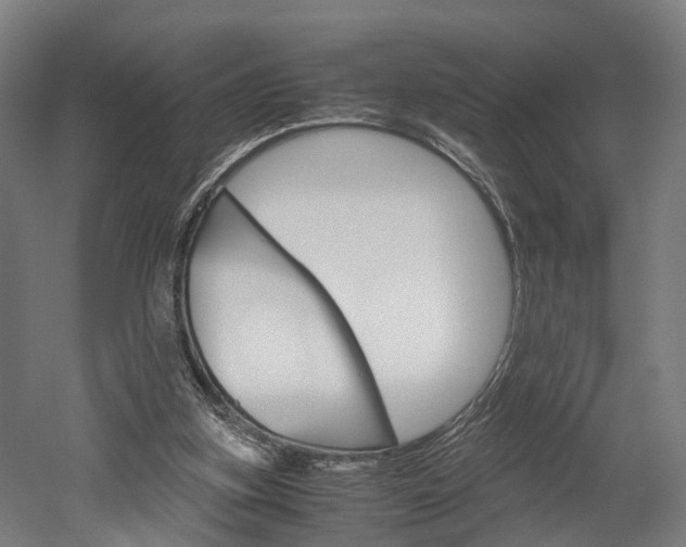 X0000052630155200507011043