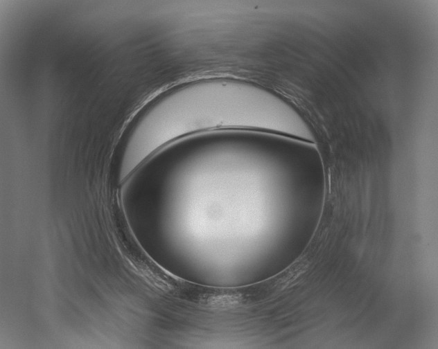 X0000052630156200507011043