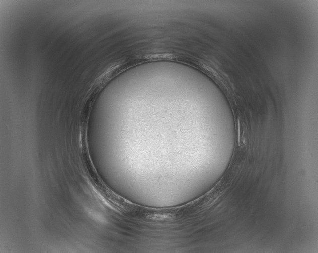 X0000052630157200507011043