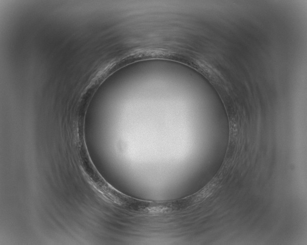 X0000052630158200507011043