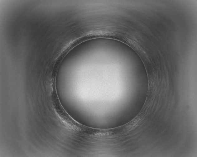 X0000052630160200507011043