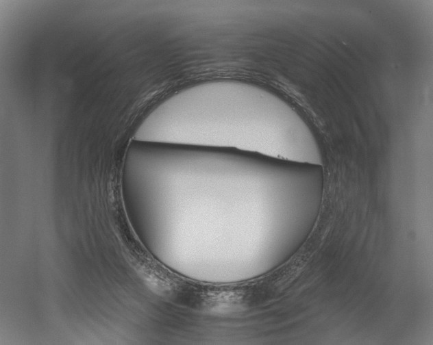 X0000052630161200507011043
