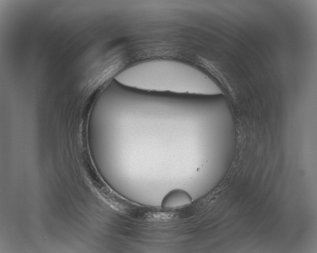 X0000052630163200507011043