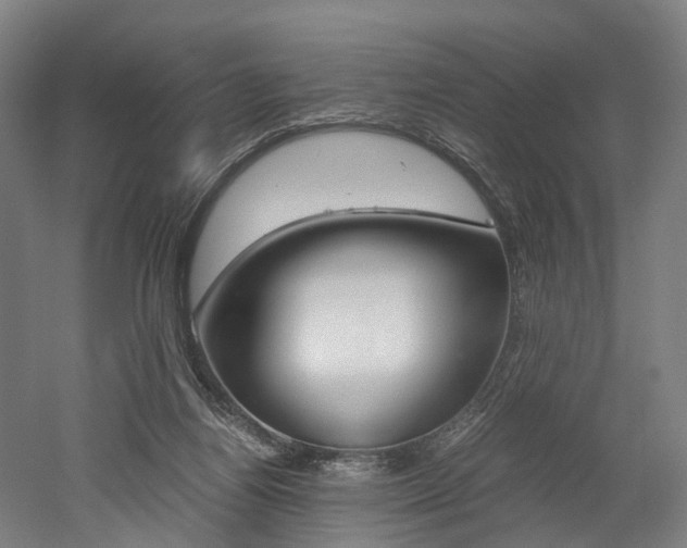 X0000052630164200507011043