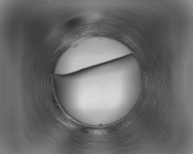 X0000052630165200507011043