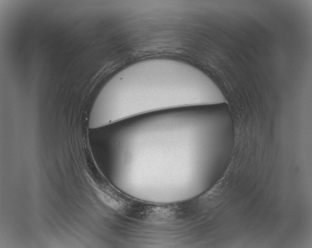 X0000052630166200507011043