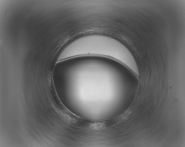 X0000052630168200507011043
