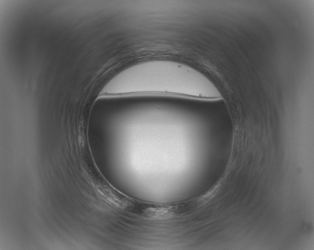 X0000052630170200507011043