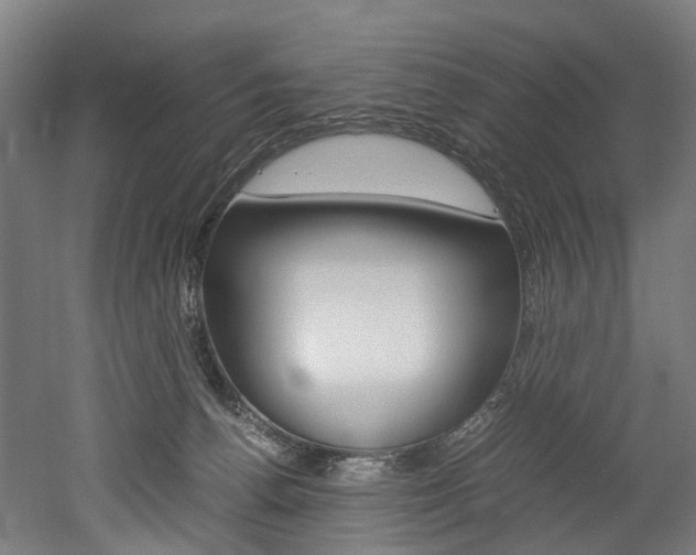 X0000052630176200507011043