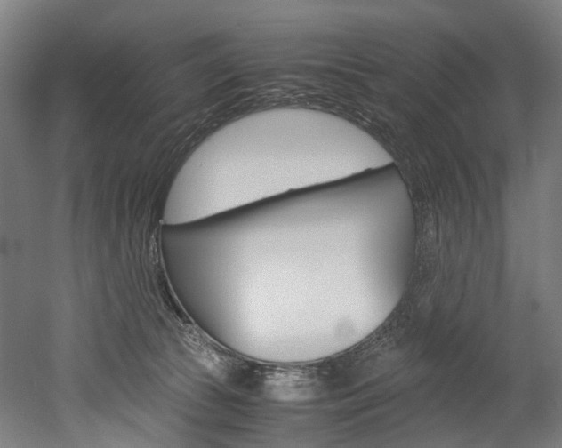 X0000052630177200507011043