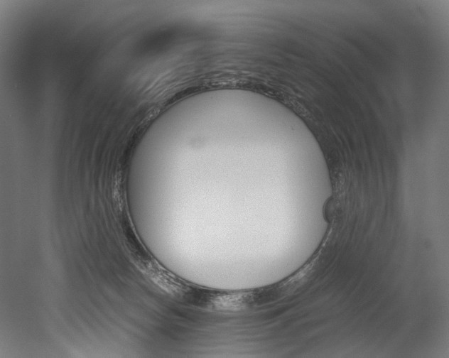 X0000052630178200507011043
